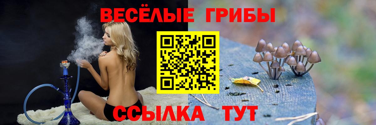 Галлюциногенные грибы мухоморы Полысаево
